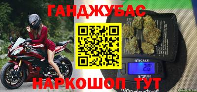 крисы Камышлов