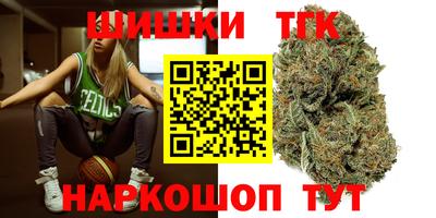 индика Абинск