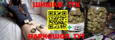 крисы Камышлов