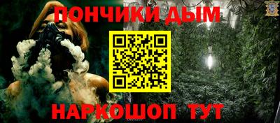 крисы Камышлов