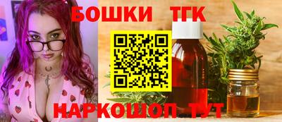 крисы Камышлов