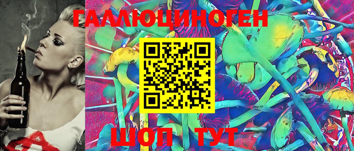 Галлюциногенные грибы Psilocybine cubensis Кудрово