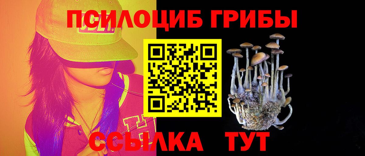 Псилоцибиновые грибы прущие грибы Кудрово