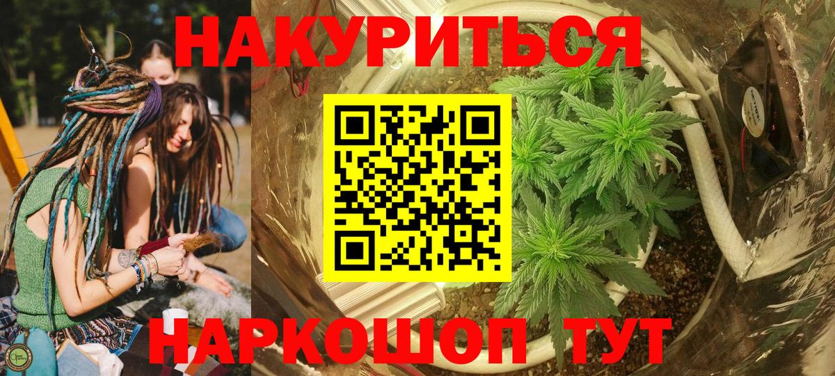 Канабис OG Kush Кудрово